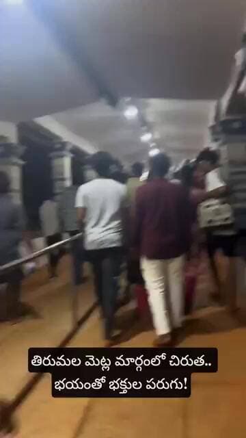 తిరుమల మెట్ల మార్గంలో చిరుత.. భయంతో భక్తుల పరుగు! #shorts #viral
