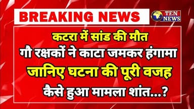 कटरा में बिजली के करंट से सांड की मौत, गौ रक्षकों का भारी प्रदर्शन, आक्रोश #cmyogi #tennewsone