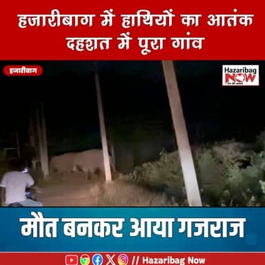 गजराज का तांडव! युवक की दर्दनाक मौत
हजारीबाग के विष्णुगढ़ में जंगली गजराज के हमले में एक युवक की मौत। घटना के बाद गांव में दहशत, परिजनों ने मुआवजे और सुरक्षा की मांग की।
#Hazaribagh #Jharkhand #BreakingNews #ElephantAttack #Vishnugarh #HindiNews #Trending #SSStudio