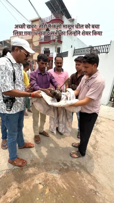 अच्छी खबर: तारों में फंसी मासूम चील को बचा लिया गया, धन्यवाद सभी का जिन्होंने शेयर किया #barabanki #viralvídeo #virałpost
