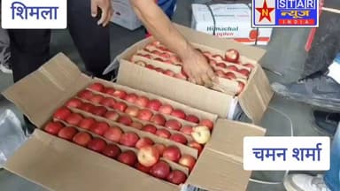 बारिश बनी बागवानों के लिए वरदान! 🍎 ढली फल मंडी में कम पहुंचा सेब-नाशपाती, दामों में आई जबरदस्त तेजी#Shimla #DhalliFruitMarket #Apple #Pear #HimachalPradesh #RainImpact #AppleSeason #FruitMarket #HimachalNews #NStarNews #BreakingNews #Monsoon #Baghwan #TrendingNews #ViralNews