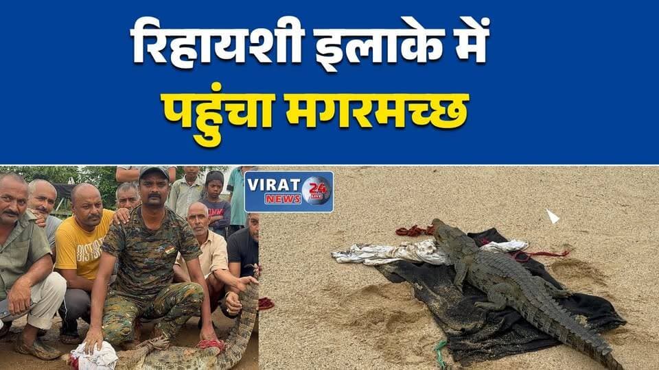 रिहायशी इलाके में पहुंचा मगरमच्छ, मचा हड़कंप
सीधी में नहर से निकला मगरमच्छ, वन विभाग ने किया रेस्क्यू
चौहान टोला में मगरमच्छ मिलने से दहशत
वन विभाग की तत्परता, सुरक्षित रेस्क्यू कर अभयारण्य में छोड़ा
नहर से गांव पहुंचा मगरमच्छ, टली बड़ी घटना#Sidhi #MadhyaPradesh #Crocodile #Wildlife #ForestDepartment #RescueOperation #BreakingNews #MPNews #WildlifeRescue #SonGharialSanctuary #LocalNews #ViralNews #Nature #SidhiNews #LatestNews