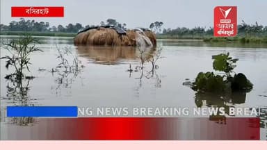 অকাল বৃষ্টিতে স্বপ্নভঙ্গ! বসিরহাটে বিঘার পর বিঘা ফসল জলের তলায়, দিশেহারা কৃষকেরা