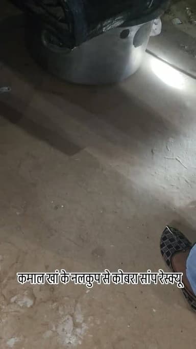 कमाल खां के नलकुप से कोबरा सांप रेस्क्यू