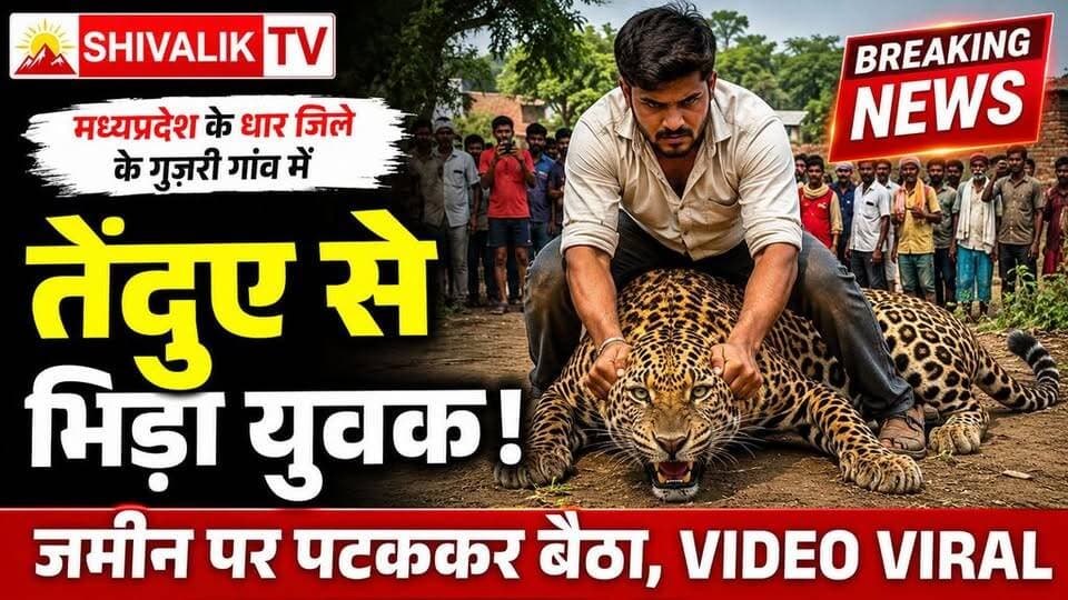 युवक ने गांव में घुसे तेंदुए को पकड़कर जमीन पर पटक उपर बैठ दबाया गला #hr71 #Sadora #Satluj #JaswantSinghKhalra #YNR #jagadhri