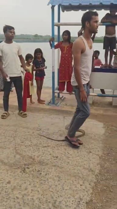 সা*পের ছোব*লের পর পাল্টা সা*পকে কামড়ে মে*রে ফেলল যুবক! হাতে মৃ*ত সাপ হাসপাতালে পৌঁছাল যুবক, দেখুন ভাইরাল সেই ভিডিও..!
#TarapithNews #LocalNews #Malda #SnakeBite #ViralNews