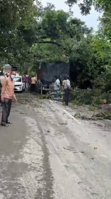 * रानीताल–32 मील सड़क पर गालियाँ स्कूल के पास ट्रक पर आम का पेड़ गिरने से लंबा जाम लग गया।
* आगे पाइपलाइन कार्य के लिए खोदी गई सड़क में एक अन्य ट्रक फंसने से स्थिति और बिगड़ गई।
* छोटी गाड़ियों के लिए रास्ता बहाल कर दिया गया है, जबकि भारी व लोडेड वाहनों की आवाजाही फिलहाल बंद है।