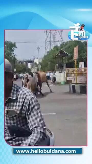 यांचा नेमका वादच कोणता ते शेवट पर्यंत कळालेच नाही? #buldhana