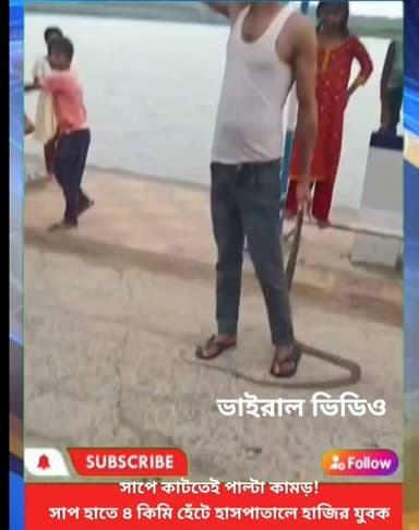 সাপে কাটতেই পাল্টা কামড়! সাপ হাতে ৪ কিমি হেঁটে হাসপাতালে হাজির যুবক!
#khabarjanakhantha
#malda