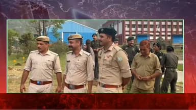 पेड़ लगाओ, पर्यावरण बचाओ का संदेश, एनटीपीसी कोलडैम में पौधारोपण अभियान का भव्य शुभारंभ