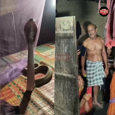 ବେଡରୁମ ରୁ ବାହାରିଲା ବିରାଟ ନାଗସାପ ଗର୍ଜନ ଶୁଣି ବିଛଣାରୁ ଉଠିଲେ ଘରଲୋକେ । ଭଣ୍ଡାରିପୋଖରୀ ବ୍ଲକ ବାହାଦୂଲ୍ ନଗର ଗ୍ରାମର ସୁବ୍ରତ ବିଶ୍ଵାଳଙ୍କ ଘରୁ ରାତ୍ରି ଦୁଇଟା ସମୟରେ ଉଦ୍ଧାର କଲେ ସାପ ଧରାଳି ମିର୍ଜା ଆରିଫ୍.....|
#bhadraknews#