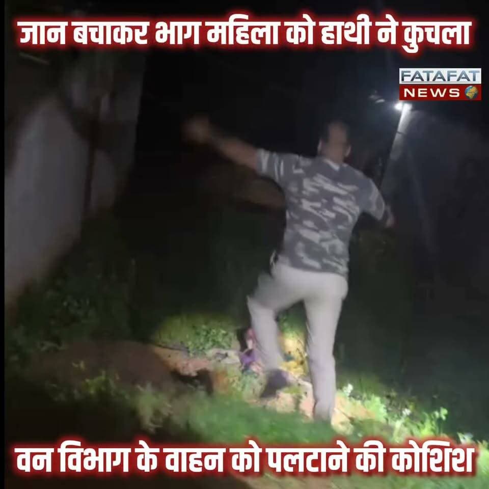 छत्तीसगढ़ के रायगढ़ जिले से एक बेहद दर्दनाक खबर सामने आई है, जहां हाथी के आतंक ने एक महिला की जान ले ली। धरमजयगढ़ वनमंडल के कापू वन परिक्षेत्र के अंतर्गत आने वाले तालगांव बस्ती में आज सुबह करीब 4 बजे एक जंगली हाथी ने अचानक धावा बोल दिया। बस्ती में हाथी को देखकर अफरा-तफरी मच गई। जान बचाने के लिए घर से भाग रही एक महिला पर हाथी ने बेरहमी से हमला कर दिया, जिससे वह गंभीर रूप से घायल हो गई।
घायल महिला को आनन-फानन में इलाज के लिए कापू अस्पताल में भर्ती कराया गया, लेकिन दुर्भाग्यवश इलाज के दौरान उन्होंने दम तोड़ दिया। इस घटना के बाद भी हाथी का गुस्सा शांत नहीं हुआ और उसने मौके पर पहुंची वन विभाग की गाड़ी पर भी हमला कर उसे क्षतिग्रस्त कर दिया। फिलहाल वन विभाग की टीम मौके पर मुस्तैद है और स्थिति पर नजर बनाए हुए है। क्षेत्र में इस घटना के बाद से दहशत का माहौल है।
#RaigarhNews #ChhattisgarhNews #ElephantAttack #WildAnimalNews #Dharamjaigarh #BreakingNews #ForestDepartment #CGNews #HumanWildlifeConflict #FatafatNews