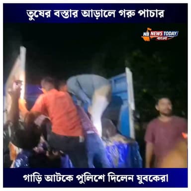 🟢তুষের বস্তার আড়ালে গরু পাচার, গাড়ি আটকে পুলিশে দিলেন যুবকেরা