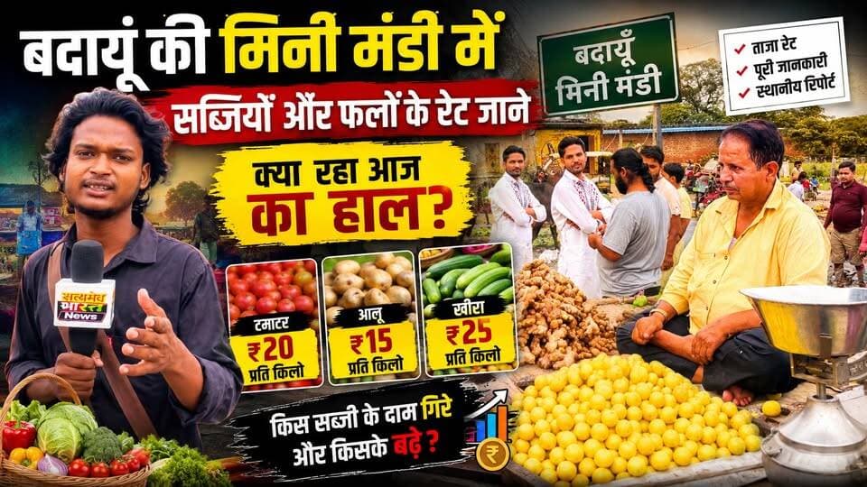बदायूं की मिनी मंडी में आज क्या हैं सब्जियों और फलों के ताज़ा भाव? खरीदने से पहले ज़रूर देखें ये रिपोर्ट! 💰 | #Badaun #MiniMandi #VegetablePrice #FruitPrice #TodayRate #MarketUpdate #BreakingNews #UPNews #SatyamevBharatNews #ViralNews सत्यमेव भारत न्यूजVikendra SharmaEr Rana Pratap SinghAnirudha Mishra पत्रकार लव कुमार
