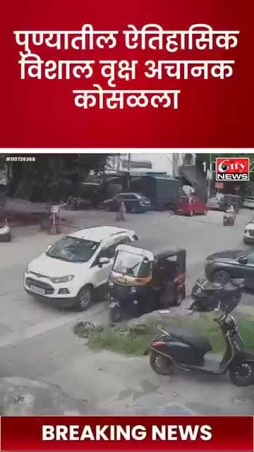 पुण्यात शतकांपूर्वीचे महाकाय झाड अचानक कोसळले! CCTV मध्ये कैद झाला थरार #citynews_amravati
