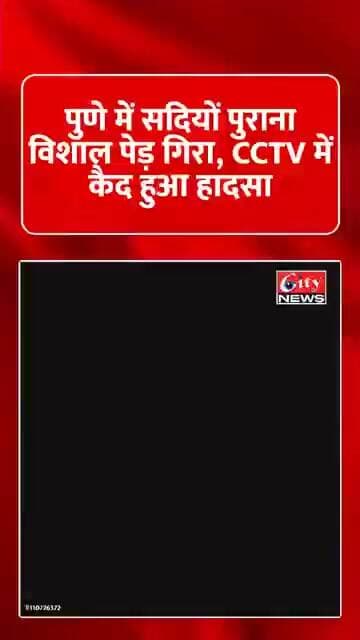 पुणे में सदियों पुराना विशाल पेड़ गिरा CCTV में कैद हुआ खौफनाक मंजर #punenews