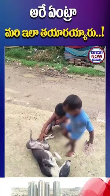 అరే ఏంట్రా మరి ఇలా తయారయ్యారు !...Hey, how did you guys end up like this?