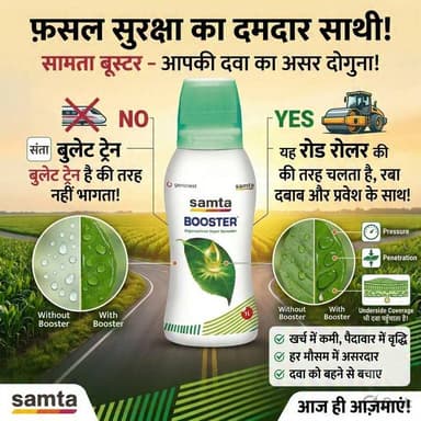 समता बूस्टर ऑर्गेनो सिलिकॉन, ये बुलेट ट्रेन जैसी स्पीड से नहीं फैलता है, यह रोड रोलर जैसी धीमी स्पीड से पत्तियां पर फैलता है और प्रेशर बनता है ताकि पत्तियों में अंदर दवाई जा सके और नीचे तक दवाई पहुंच जाए, जहां तक सफेद मच्छर के बच्चे छुपे हुए हैं।
50 ml / एकड़ , #समता #samtabooster #सिलिकॉन #ऑर्गेनो #organosilicon
