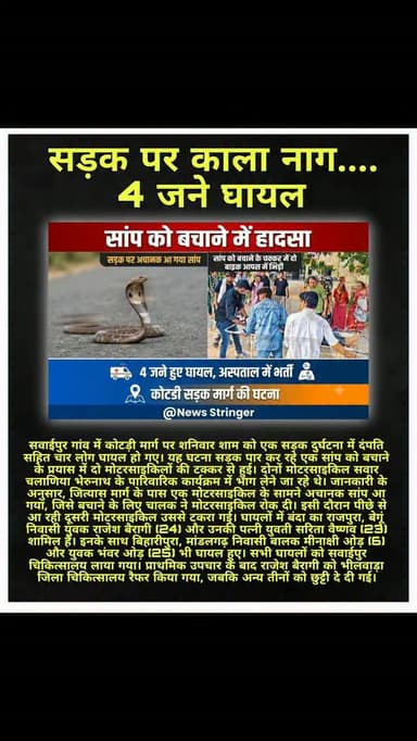 इन दिनों सड़कों पर अचानक जहरीले सांप
आ रहे है, जिससे सड़क हादसे भी हो रहे।
इसलिए सड़क पर ध्यान रखे, विशेषतौर से ग्रामीण सड़कों पर सांप अधिक दिखाई दे रहे।
.
#bhilwara #rajasthan #post #news