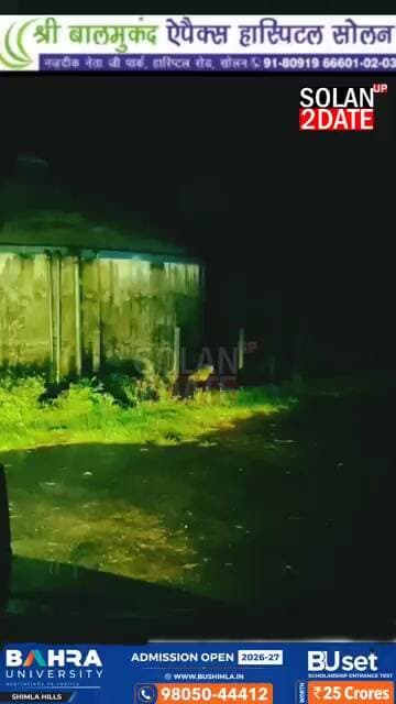 पालमपुर के साथ लगते क्षेत्र नगरी में दिखा तेंदुआ,इलाके में भय का माहौल ,बरसात के कारण जंगलों से