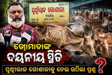 ପ୍ରବଳ ବର୍ଷାରେ ବେହାଲ ପୃଥ୍ୱୀରାଜ ଗୋଶାଳା, ଦୁର୍ବଳ ଗୋମାତାଙ୍କ ଅବସ୍ଥାକୁ ନେଇ ଉଠିଲା ପ୍ରଶ୍ନ