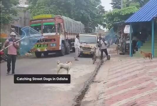 🚨 ओडिशा में आवारा कुत्तों के बढ़ते खतरे पर BMC की कार्रवाई
📍 गंजाम, ओडिशा
राज्य में आवारा कुत्तों से जुड़ी बढ़ती घटनाओं के बीच गंजाम जिले में BMC ने डॉग-कैचिंग अभियान शुरू किया है।
अभियान का उद्देश्य आवारा कुत्तों की संख्या को नियंत्रित करना, लोगों की सुरक्षा सुनिश्चित करना और आवश्यक पशु-चिकित्सा एवं प्रबंधन उपायों को लागू करना है।
प्रशासन ने लोगों से भी अपील की है कि आवारा जानवरों से जुड़े मामलों की सूचना संबंधित अधिकारियों को दें।
#Odisha #Ganjam #DogMenace #StrayDogs #BMC #BreakingNews #PublicSafety #IndiaNews