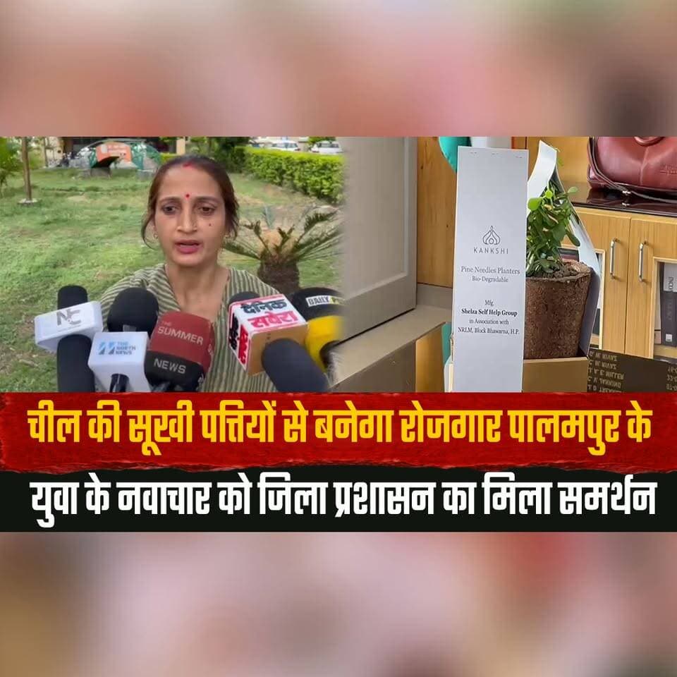 चील की सूखी पत्तियों से बनेगा रोजगार पालमपुर के
युवा के नवाचार को जिला प्रशासन का मिला समर्थन
#Palampur #Innovation #YouthInnovation #Entrepreneurship #Employment #EcoFriendly #SustainableDevelopment #GreenInitiative #HimachalNews #BreakingNews #thesummernewshimachal
