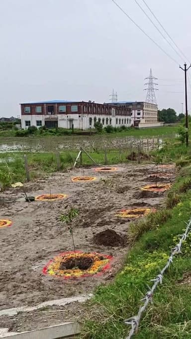 वृक्षारोपण महायज्ञ 2026/ कैबिनेट मंत्री दारा सिंह चौहान करेंगे पौधरोपड़