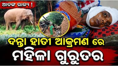 #ଦନ୍ତା_ହାତୀ_ଆକ୍ରମଣରେ_ମହିଳା_ଗୁରୁତର
କରଞ୍ଜିଆ ବନଖଣ୍ଡ ଦୁଧିଆଣି ବନାଞ୍ଚଳ ବଡ଼ଗାଁ ଗ୍ରାମ ପଞ୍ଚାୟତ ହଳଦିଆପୋଷି ଗ୍ରାମ ରେ ବିଳମ୍ବିତ ରାତି ରେ ଗୋଠ ଛଡା ଦନ୍ତା ହାତୀ ଆକ୍ରମଣ ରେ ମହିଳା ଗୁରୁତର, କରଞ୍ଜିଆ ଉପଖଣ୍ଡ ଚିକିତ୍ସାଳୟ ରେ ଭର୍ତ୍ତି |
#pabitranewsodishalive #pabitranews #latastnewsupdate #Mayurbhanj #KARANJIA