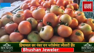 टमाटर के रेट में तेजी से खिले किसानो के चेहरे
हिमाचल समय - Himachal Samay Media #solansubjimandi
