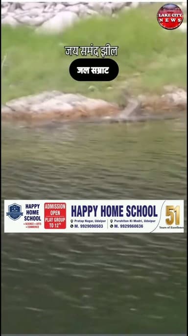जयसमंद मे मगरमछ दिखा, सावधान रहे सतर्क रहे....jaisamand Lake, crocodile, Wild Life