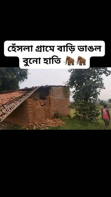#BreakingNews #ElephantAttack #forest #elephant #purulia