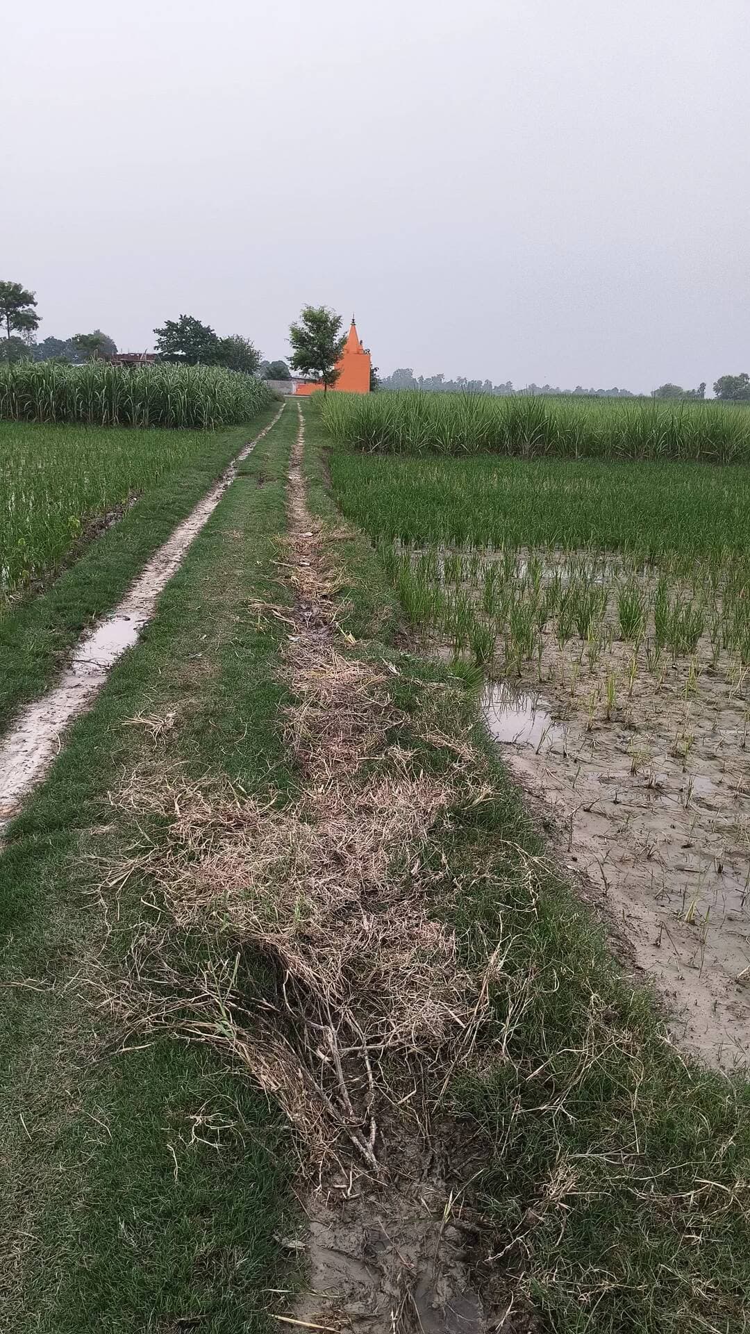 रास्ता काटी गई
धर्मपुर ग्राम पंचायत
उमेश धर्मपुर का खेत है
प्राथमिक विद्यालय धर्मपुर मां शारदा गायत्री
अबडैलस वाले,
