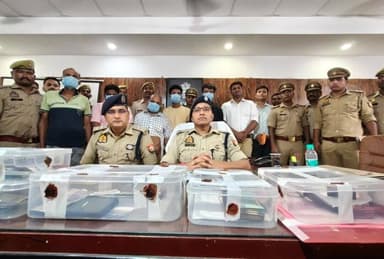 #SPGonda के निर्देशन में #CyVazra अभियान के तहत साइबर फ्रॉड गिरोह के 05 अंतर्राज्यीय अभियुक्त गिरफ्तार। कब्जे से 06 मोबाइल,15 आधार कार्ड,10 सिम,08 मोहर, 02 दोपहिया वाहन,विभिन्न फर्मों के फर्जी दस्तावेज व अन्य सामग्री बरामद तथा 3.20 करोड़ की धनराशि फ्रीज कराई गई।
#UPPolice https://t.co/rm0NRJKoik