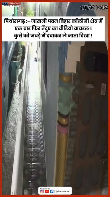 ⬇️पिथौरागढ़ नगर में फिर दिखा तेंदुआ! CCTV में कुत्ते को जबड़े में ले जाता दिखा⬇️
नगर के जाखनी स्थित पवन विहार कॉलोनी क्षेत्र में तेंदुए की मौजूदगी का दावा किया जा रहा है। वायरल CCTV फुटेज में 12 जुलाई 2026 की रात करीब 2:50 से 3:00 बजे के बीच एक तेंदुआ कुत्ते को जबड़े में ले जाता दिखाई दे रहा है।
हालांकि, सोर समाचार इस वायरल वीडियो की स्वतंत्र रूप से पुष्टि नहीं करता है। स्थानीय लोगों में दहशत का माहौल है । वन विभाग से सतर्कता बरतने की अपील की जा रही है।
कृपया सावधानी बरतें📢
