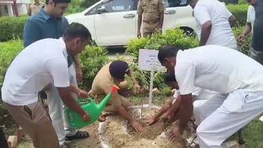 *वृक्षारोपण महायज्ञ-2026 “एक पेड़ माँ के नाम" अभियान के अंतर्गत जिलाधिकारी मऊ श्री आनन्द वर्धन, एवं पुलिस अधीक्षक मऊ श्री कमलेश बहादुर, अपर जिलाधिकारी श्री प्रवेन्द्र कुमार व अपर पुलिस अधीक्षक श्री अनूप कुमार द्वारा पुलिस लाइन परिसर में किया वृक्षारोपण-*
आज दिनांक 12/07/2026 को प्रदेश सरकार द्वारा संचालित वृक्षारोपण महायज्ञ- 2026 "एक पेड़ माँ के नाम" अभियान के अंतर्गत आज पुलिस लाइन, मऊ में जिलाधिकारी मऊ एवं पुलिस अधीक्षक मऊ द्वारा वृक्षारोपण कर पर्यावरण संरक्षण का संदेश दिया गया।
इस अवसर पर जिलाधिकारी मऊ ने कहा कि वृक्षारोपण केवल पौधे लगाने तक सीमित नहीं है, बल्कि उनका संरक्षण एवं संवर्धन भी प्रत्येक नागरिक की जिम्मेदारी है। उन्होंने उपस्थित अधिकारियों एवं कर्मचारियों से अपनी माँ के सम्मान में एक पौधा लगाने तथा उसकी नियमित देखभाल करने का आह्वान किया।
इस अवसर पर पुलिस अधीक्षक महोदय ने कहा कि वृक्ष पर्यावरण संतुलन बनाए रखने, प्रदूषण नियंत्रण एवं मानव जीवन को सुरक्षित रखने में महत्वपूर्ण भूमिका निभाते हैं। प्रत्येक व्यक्ति को अपने जीवन में कम से कम एक पौधा अवश्य लगाना चाहिए तथा उसकी देखभाल भी करनी चाहिए।
कार्यक्रम के दौरान पुलिस एवं प्रशासनिक अधिकारियों तथा कर्मचारियों द्वारा विभिन्न प्रजातियों के पौधों का रोपण किया गया तथा पर्यावरण संरक्षण एवं हरित वातावरण के निर्माण हेतु सामूहिक रूप से संकल्प लिया गया।
इस अवसर पर अपर पुलिस अधीक्षक, क्षेत्राधिकारी नगर श्री नितेश प्रताप सिंह व अन्य क्षेत्राधिकारीगण, प्रतिसार निरीक्षक अरुण कुमार सिंह पुलिस लाइन के अन्य पुलिस अधिकारी एवं कर्मचारी तथा प्रशासनिक अधिकारीगण उपस्थित रहे।
साथ ही साथ जनपद के समस्त थानों द्वारा अपने अपने थाना परिसर में विभिन्न प्रजातियों के पौधों का रोपण किया गया। वृक्षारोपण कार्यक्रम में पुलिस अधिकारियों एवं कर्मचारियों ने बढ़-चढ़कर सहभागिता करते हुए अधिक से अधिक पौधे लगाने तथा उनके संरक्षण का संकल्प लिया।
इस दौरान जनपद मऊ पुलिस द्वारा कुल 5180 विभिन्न प्रजातियो के पौधों का वृक्षारोपण किया गया ।
जनपद मऊ पुलिस द्वारा जनपद को हरा-भरा एवं स्वच्छ बनाने के उद्देश्य से भविष्य में भी ऐसे जनकल्याणकारी एवं पर्यावरण संरक्षण संबंधी कार्यक्रम आयोजित किए जाते रहेंगे