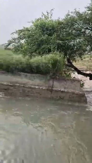 *हिसार :- पानी आते ही टूट जाती है सीसवाला सब माइनर*
बालसमंद सब माईनर