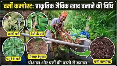 वर्मी कम्पोस्ट के लिए पोआल बिछाकर अरंडी, इलायची, केले और धतूरे के पत्तों की परत लगाई जा रही है, ताकि प्राकृतिक जैविक खाद तैयार हो सके