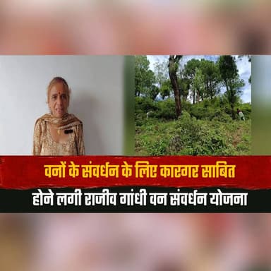 वनों के संवर्धन के लिए कारगर साबित
होने लगी राजीव गांधी वन संवर्धन योजना
#RajivGandhiVanSamvardhanYojana #ForestConservation #Afforestation #GreenHimachal #Environment #SustainableDevelopment #HimachalPradesh #EcoRestoration #HimachalNews #BreakingNews #thesummernewshimachal