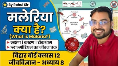 Malaria Kya Hai? | मलेरिया कैसे होता है? लक्षण और बचाव | Class 12 Biology Ch 8 #malaria #bseb #12th