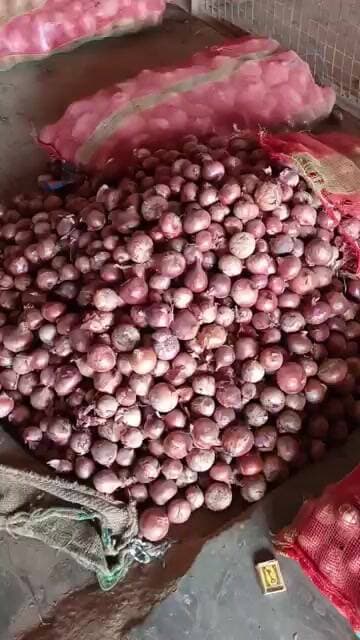 प्याज़ के भाव मे बम्पर तेजी किसानों का सुधरा बजट #pyajkabhav