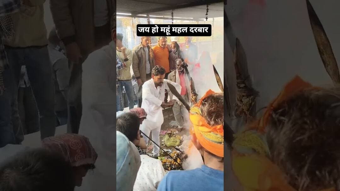 जय हो महूं महल दरबार #mahumahal #shorts #shortsfeed #viralvideo #trending #viralvideos #newreel