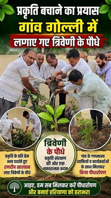 🌿 प्रकृति बचाने का प्रयास: गांव गोल्ली में लगाए गए त्रिवेणी के पौधे, पर्यावरण संरक्षण का दिया संदेश 🌳
#golli #GreenHaryana #SaveNature #TreePlantation #GoGreen #Environment