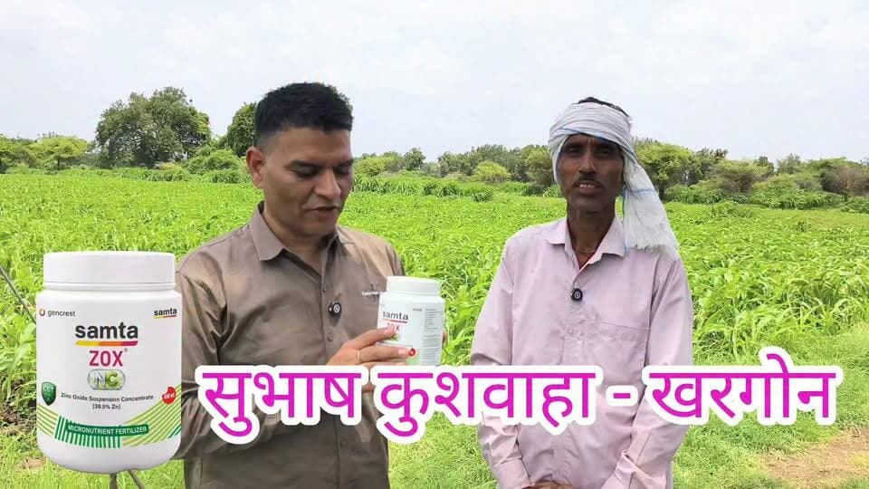 073400 61331 जिंक NC समता जॉक्स NC के परिणाम किसान से सुनते है। #जिंक #paddy #cotton #makka @topfans