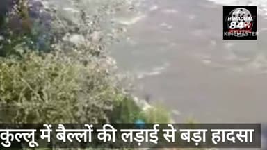 कुल्लू में बैलों की लड़ाई से बड़ा हादसा, चालक की कोशिश के बावजूद नदी में गिरी पिकअप
#KulluAccident #BullFight #PunjabPickup #RoadAccident #BreakingNews #HimachalPradesh #Himachal84TV #NewsUpdate