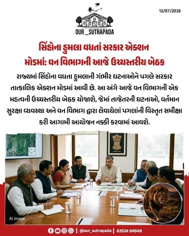 સિંહોના હુમલા વધતાં સરકાર એક્શન મોડમાં....
#instadaily #gujarat #gir #forest