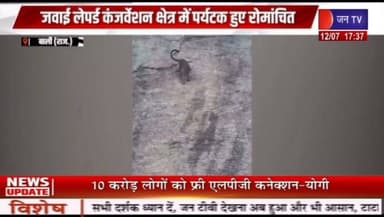 जवाई क्षेत्र में लेपर्ड ने बंदरों का शिकार की 1 मिनट तक चली कशमकश कोशिश नाकाम पर्यटकों ने कैमरे में कैद किया रोमांचक नजारा रिपोर्ट प्रहलादसिंह जन टीवी