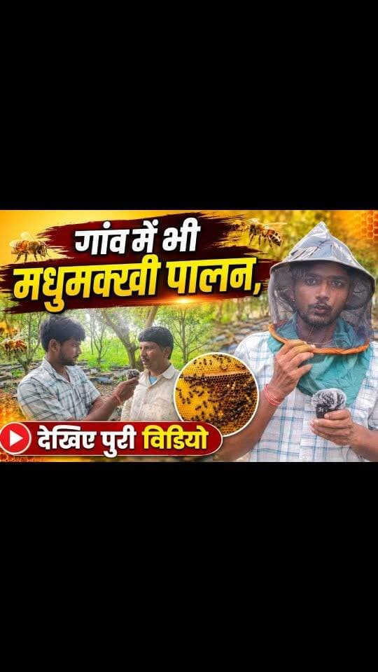 गांव में भी मधुमक्खी पालन करते है, सोनबरसा प्रखंड के किसान। आखिर कैसे, देखिए पुरी विडियो को।।
.
.
.
#न्यूजबिहारकीआवाज #sitamarhi_bihar #pariharvidhansabha #farmerlife❤️🚜👑 #beefarming🐝🍯
