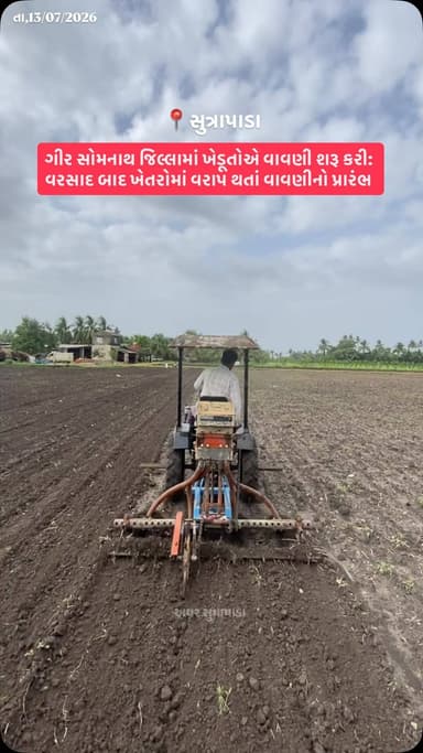 ખેડૂતોને માટે વાવણી એ માત્ર ખેતી પ્રક્રિયા નહીં; પણ એક અમુલો અવસર હોય છે! જેનું સાચું મૂલ્ય તો ખેડુ પરિવાર જ સમજી શકે...
ગીર સોમનાથ મા આ વર્ષે સારો વરસાદ થયો છે. લાંબા સમયની રાહ જોવડાવ્યા બાદ ભારે વરસાદ પડ્યો છે, જેના કારણે ચારેય તરફ પાણી ભરાઈ ગયા છે. આ સાર્વત્રિક વરસાદથી ખરીફ પાક માટે અનુકૂળ વાતાવરણ બનતા ખેડૂતોમાં ખુશીનો માહોલ છે
#girsomnath #farming #khedut #reels