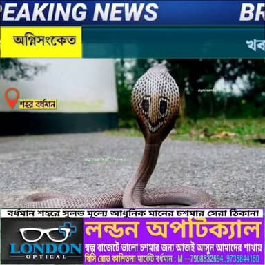 #বাঁচানো গেলো না সাপে কাটা রুগীকে..!! প্রথমে ওঝা,, তারপর সোজা বর্ধমান মেডিক্যাল কলেজ ও হাসপাতালে চিকিৎসা,, অবশেষে মৃত্যু..!!
#অগ্নিসংকেতনিউজ